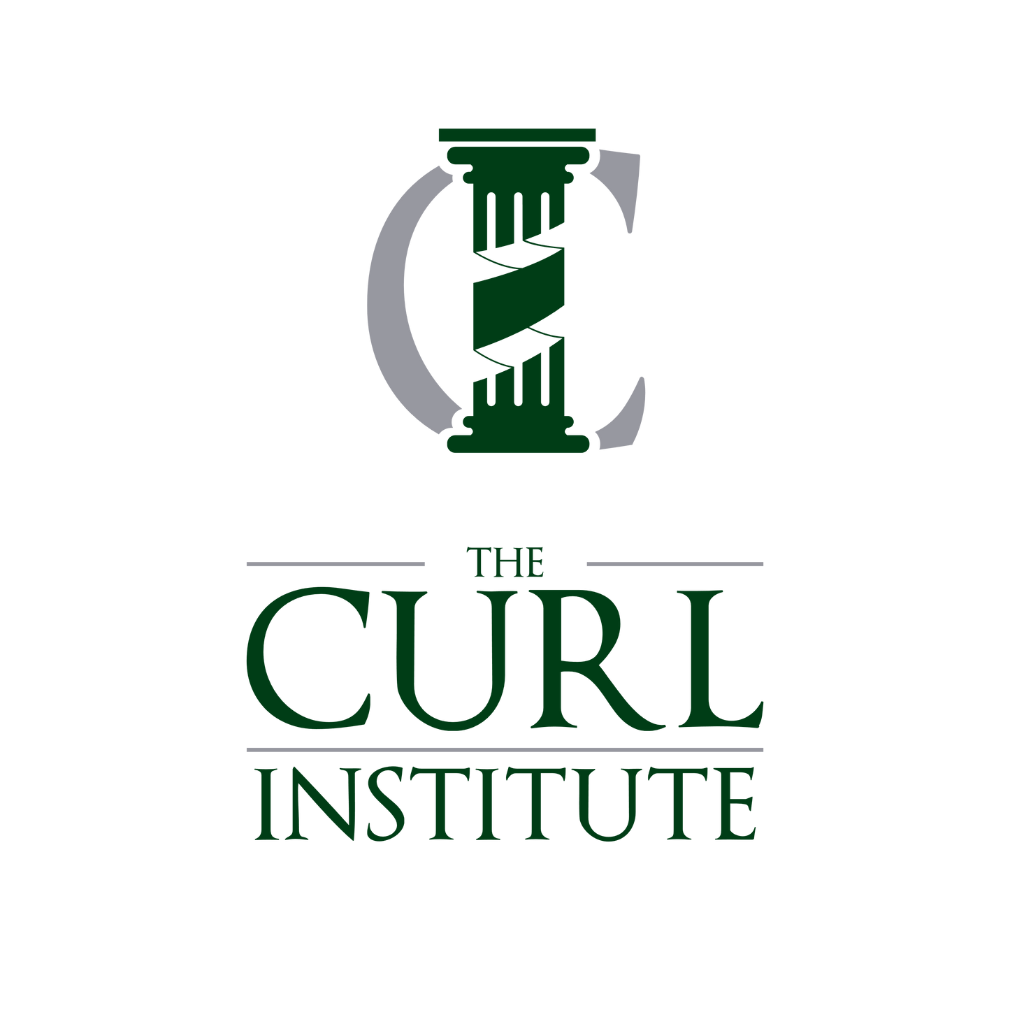 The Curl Institute ONLINE 2-Day Curly Hair Workshop