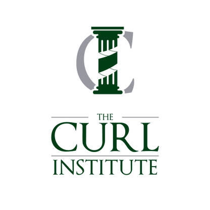 The Curl Institute ONLINE 2-Day Curly Hair Workshop